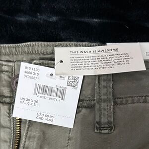American Eagle Tan/GreenCargo Pants